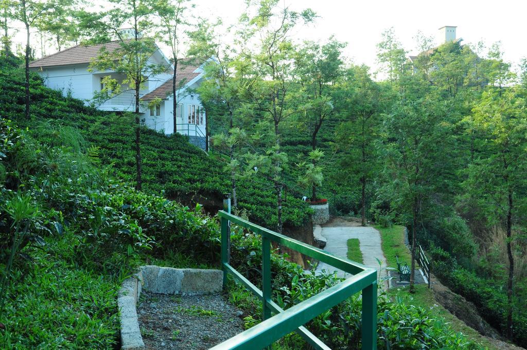 Falcon Crest Vagamon Cameră foto