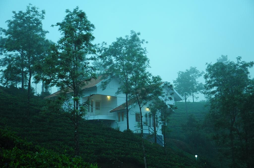 Falcon Crest Vagamon Cameră foto